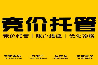 案例分享：SEM代运营服务公司助力企业品牌知名度